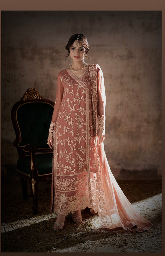 Chiffon tea pink suit