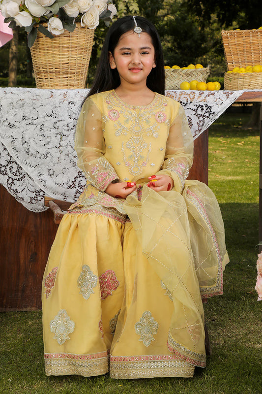 Sharara kids