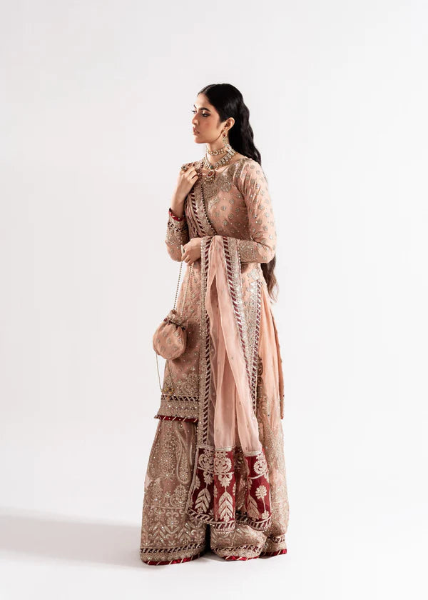 Tea pink sharara set