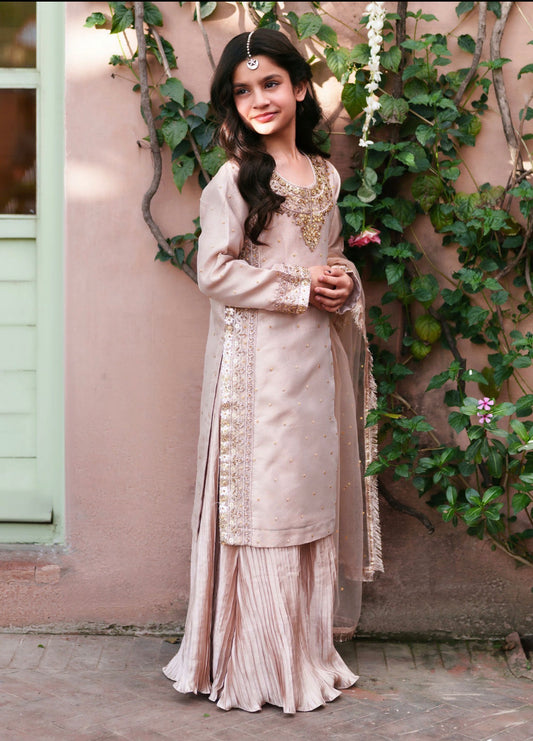 3 piece party wear set