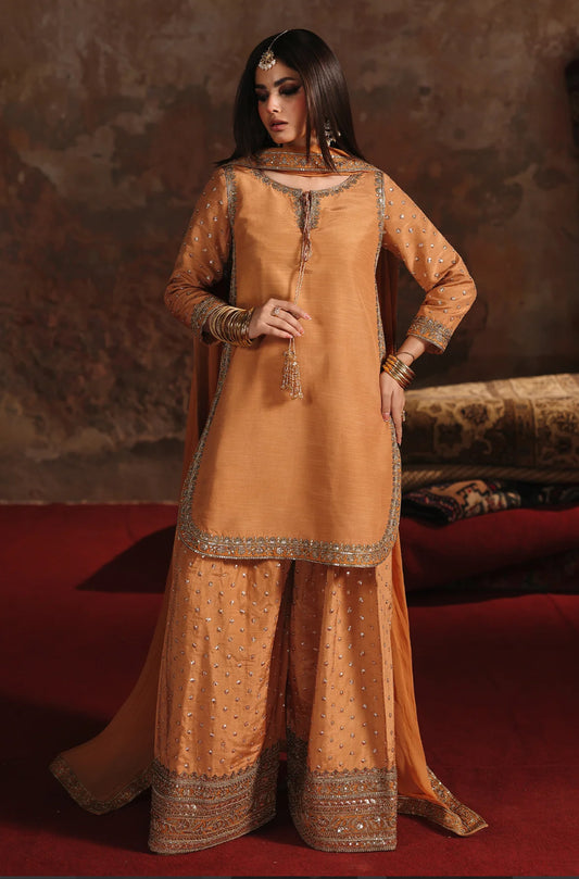 Rust Orange Farshi suit