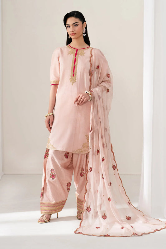 Farshi suit pink